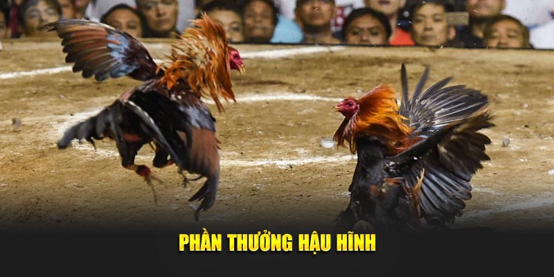 Phần thưởng hậu hĩnh