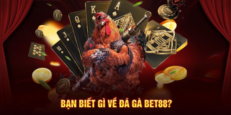 Tìm hiểu chi tiết về đá gà Bet88