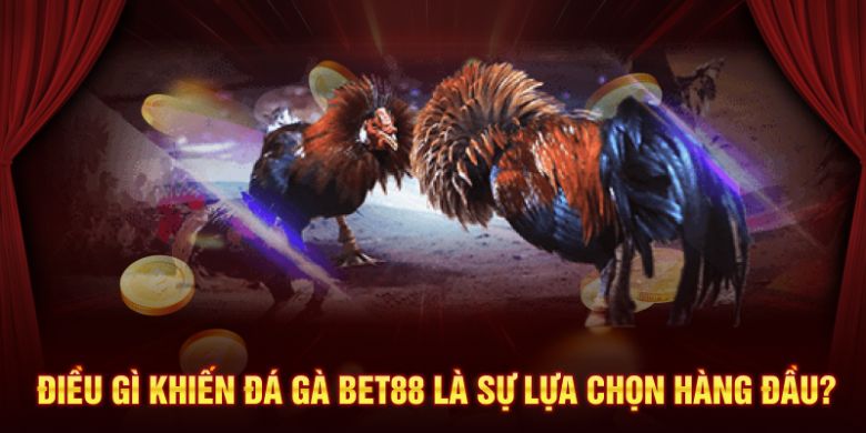 Điều gì khiến đá gà BET88 là sự lựa chọn hàng đầu?